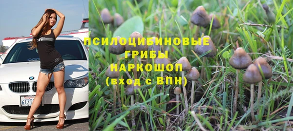 прущая мука Аркадак