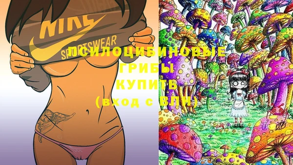 прущая мука Аркадак