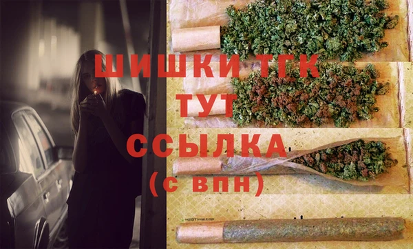 твердый Армянск