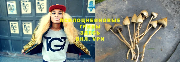 прущая мука Аркадак